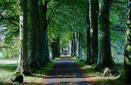 drummond castle driveway